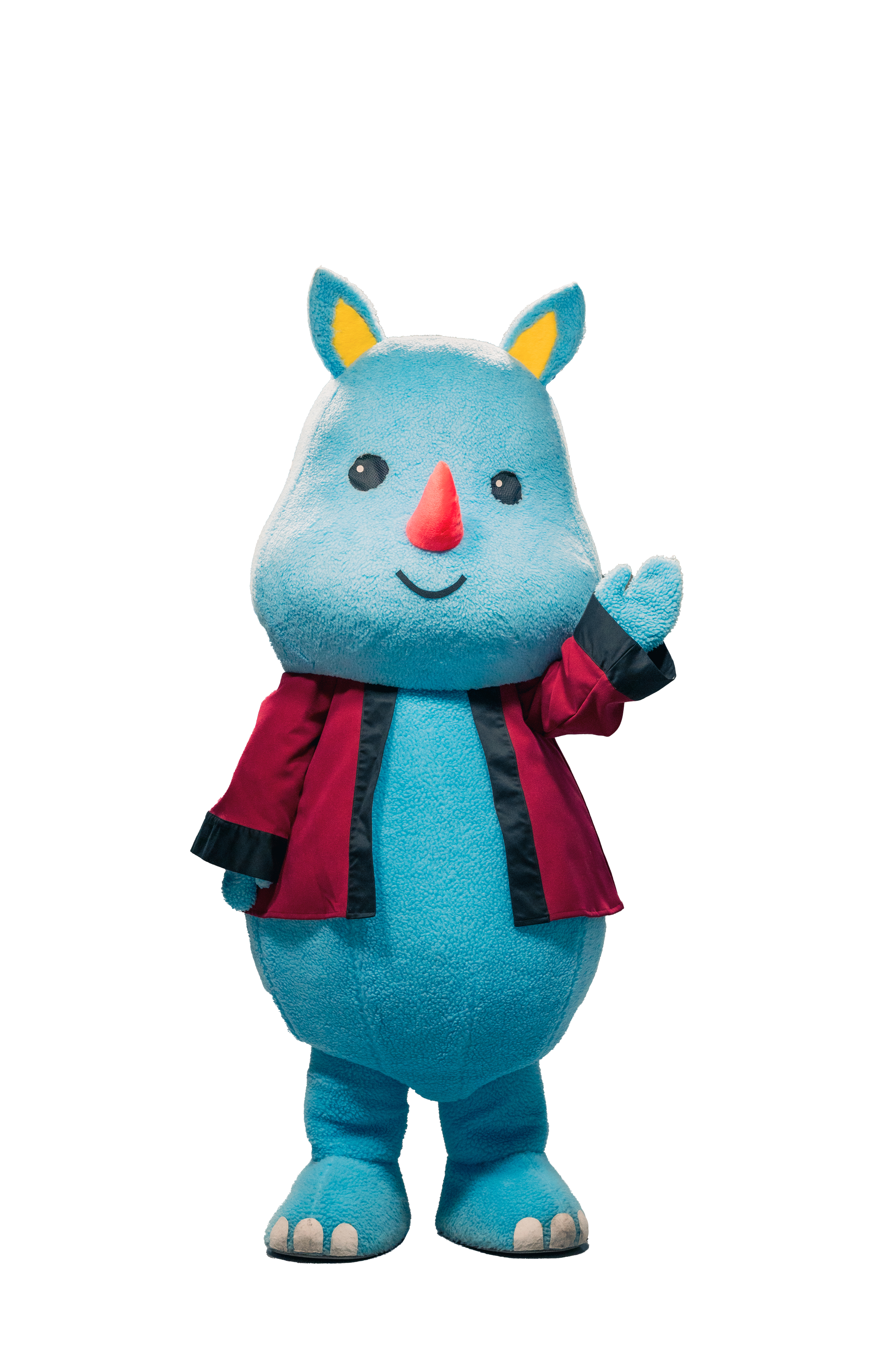 左手を挙げるサイくん